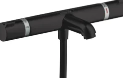 Amme- ja suihkutermostaatti Hansgrohe Ecostat