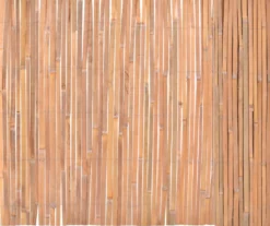 Bambuaita 100x400cm