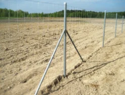 Eläinverkko Zn 1,7x50 m muuttuva silmäkoko