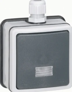 Kaksinapainen kytkin Legrand Plexo 66 10 A IP66 pinta kontrollivalolla, harmaa
