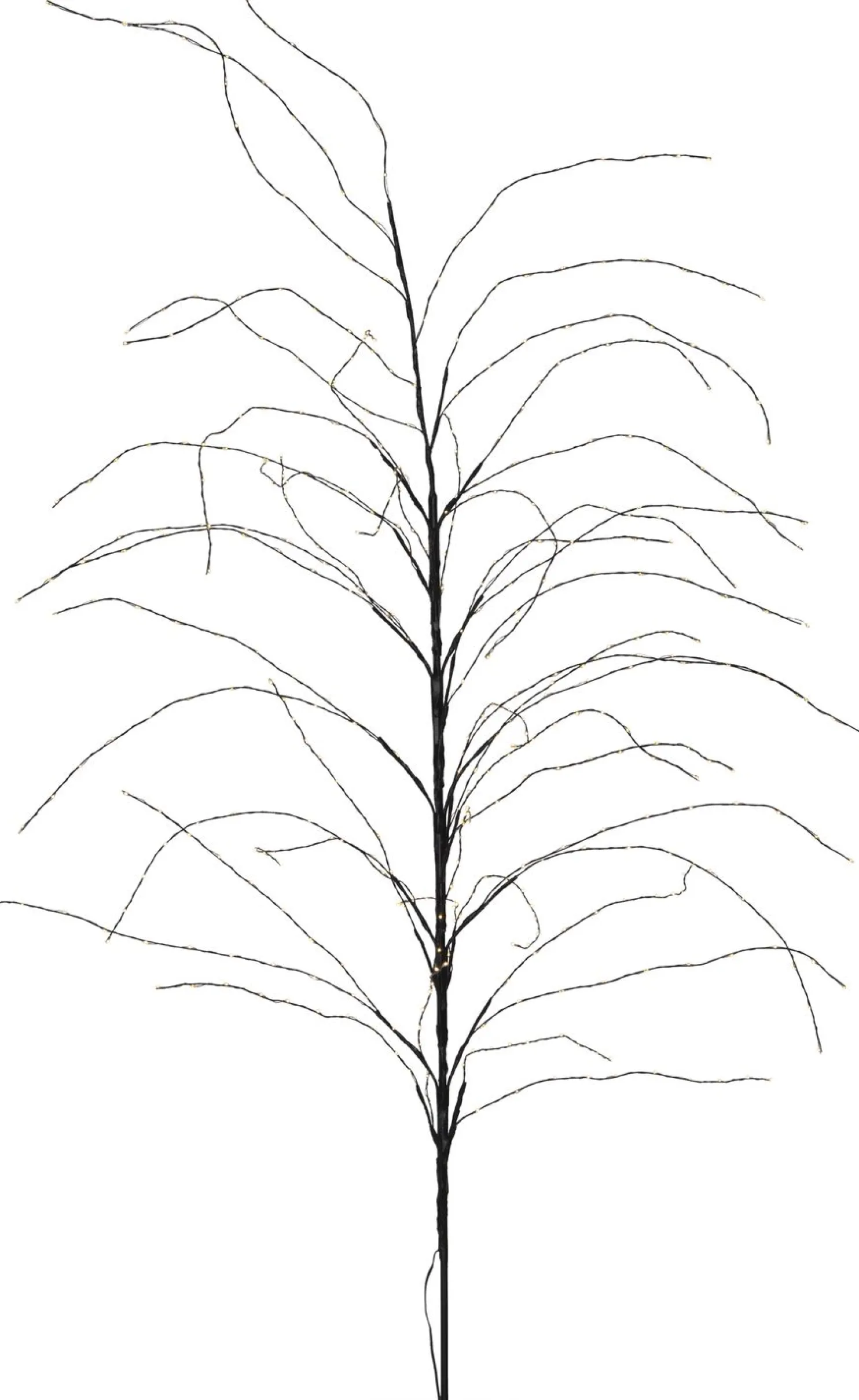 Koristepuu Star Trading Reedy, 180cm, musta