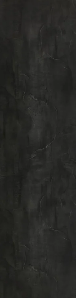 Märkätilalevy Berry Alloc Wall&Water Black Velvet Satin