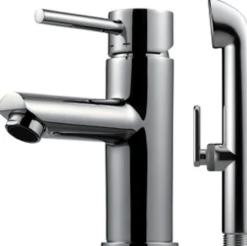 Pesuallashana Tapwell SK069 Bidé Chrome, bideesuihkulla, kromi