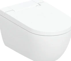 Seinä-WC-istuin Geberit Alba, pesevä, valkoinen