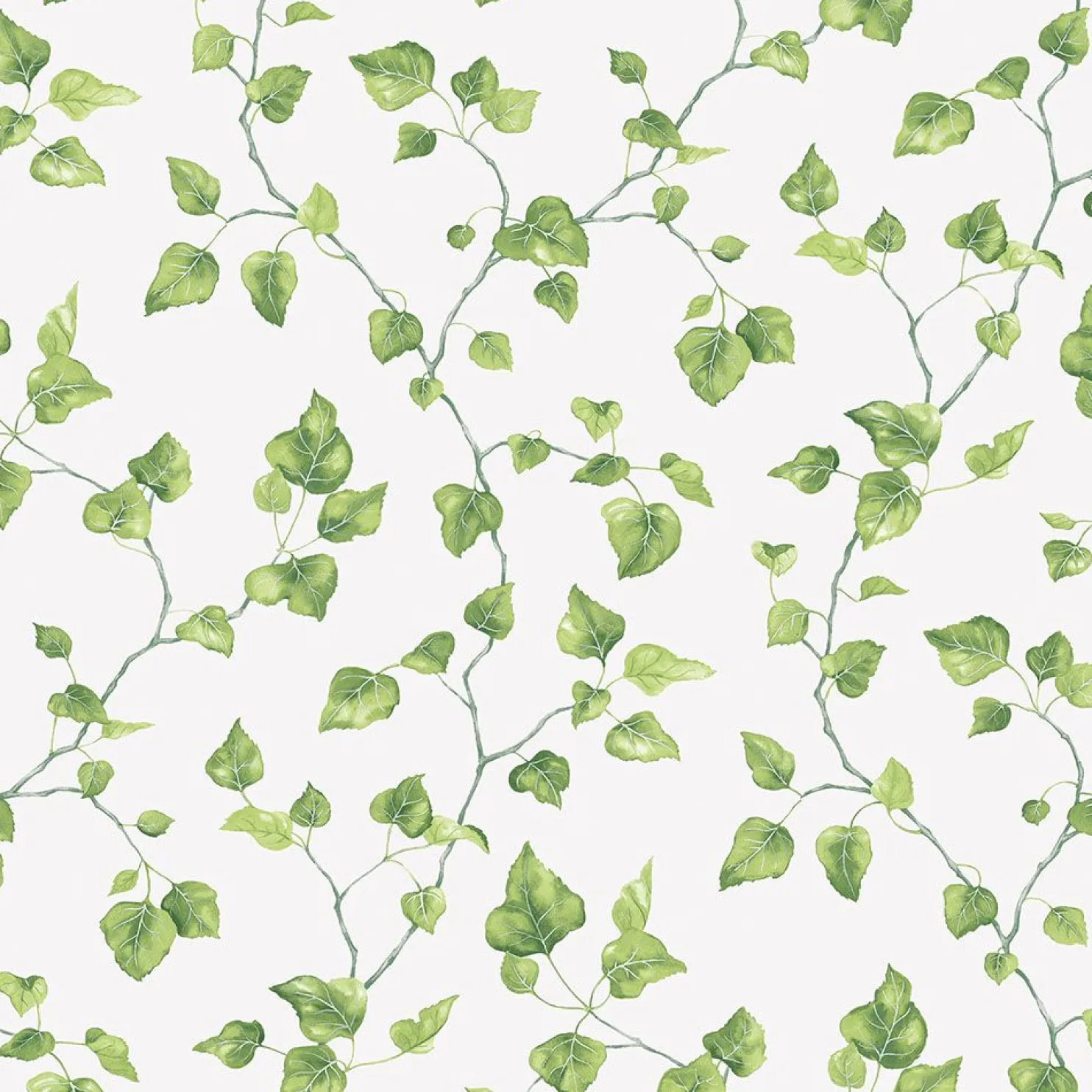 Tapetti Galerie Just Kitchens Just Ivy, kasvi
