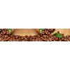 Välitilatarra Dimex Coffee 180-350x60cm