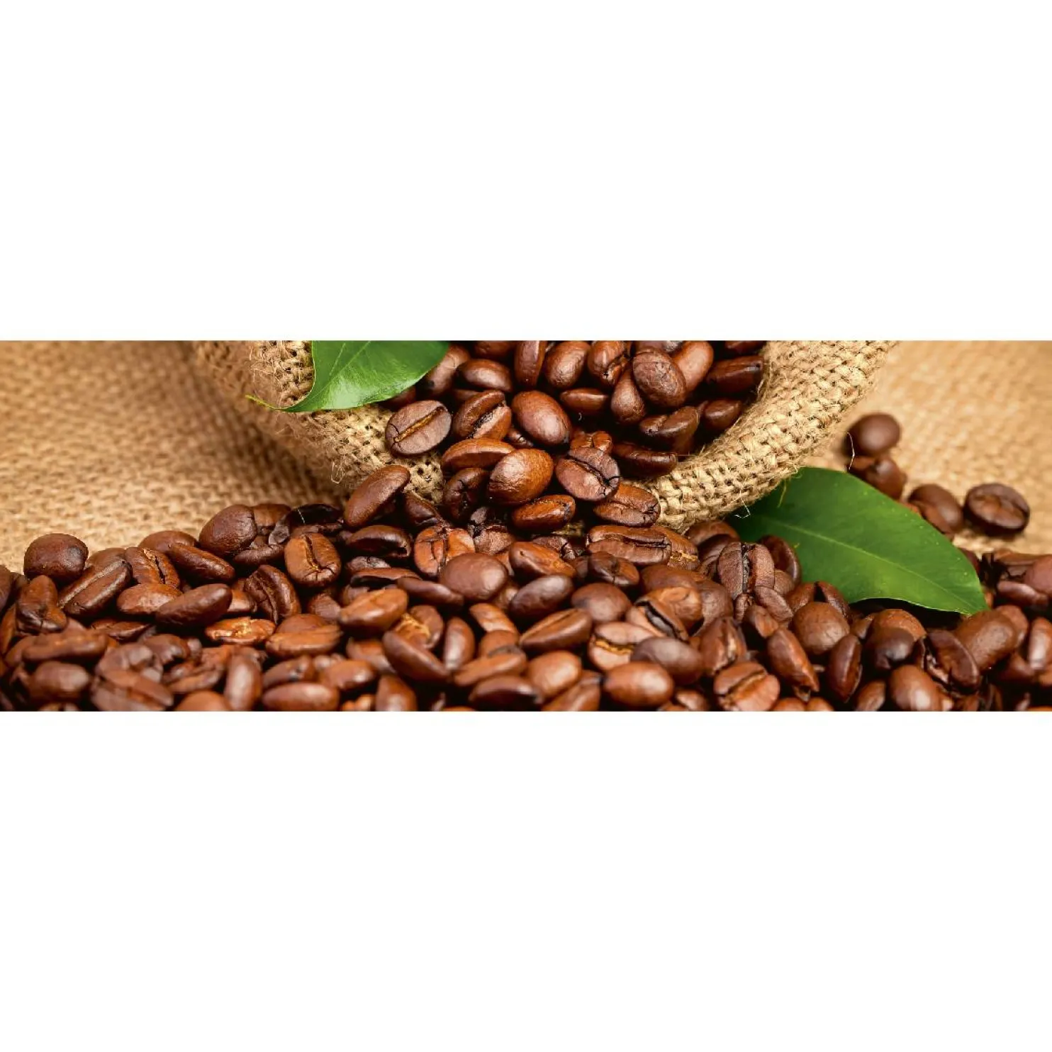 Välitilatarra Dimex Coffee 180-350x60cm