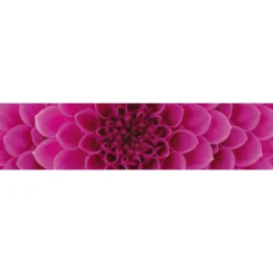 Välitilatarra Dimex Pink Dahlia 180-350x60cm