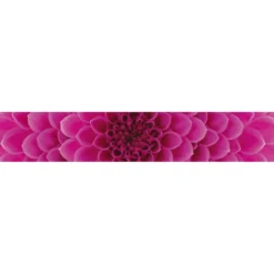Välitilatarra Dimex Pink Dahlia 180-350x60cm