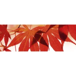 Välitilatarra Dimex Red Leaves 180-350x60cm