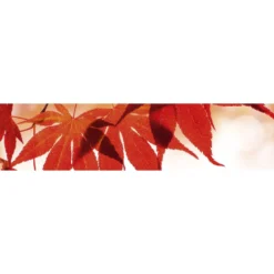 Välitilatarra Dimex Red Leaves 180-350x60cm