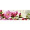 Välitilatarra Dimex Sakura 180-350x60cm