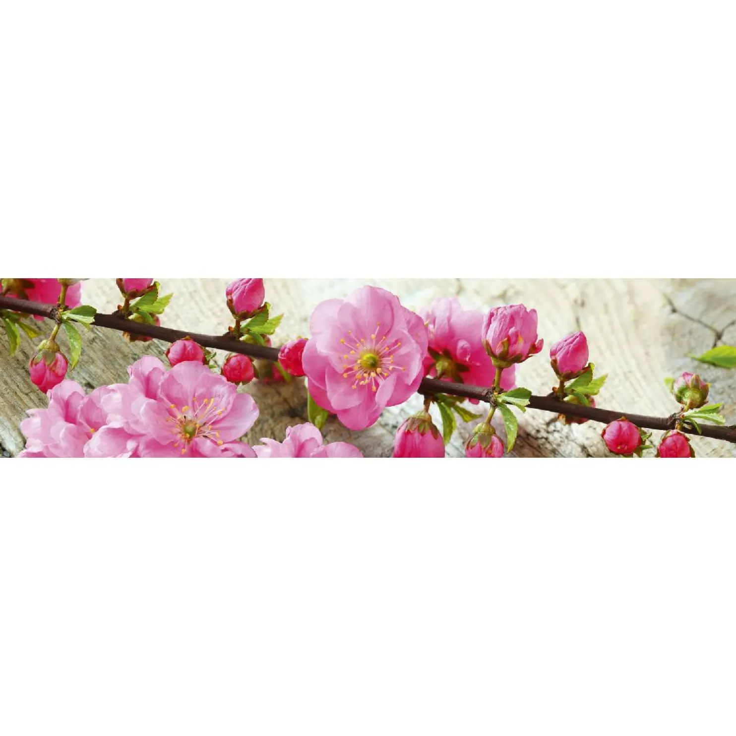 Välitilatarra Dimex Sakura 180-350x60cm