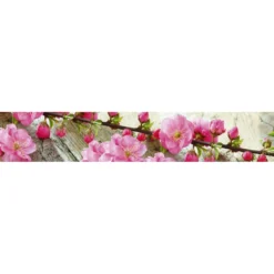 Välitilatarra Dimex Sakura 180-350x60cm