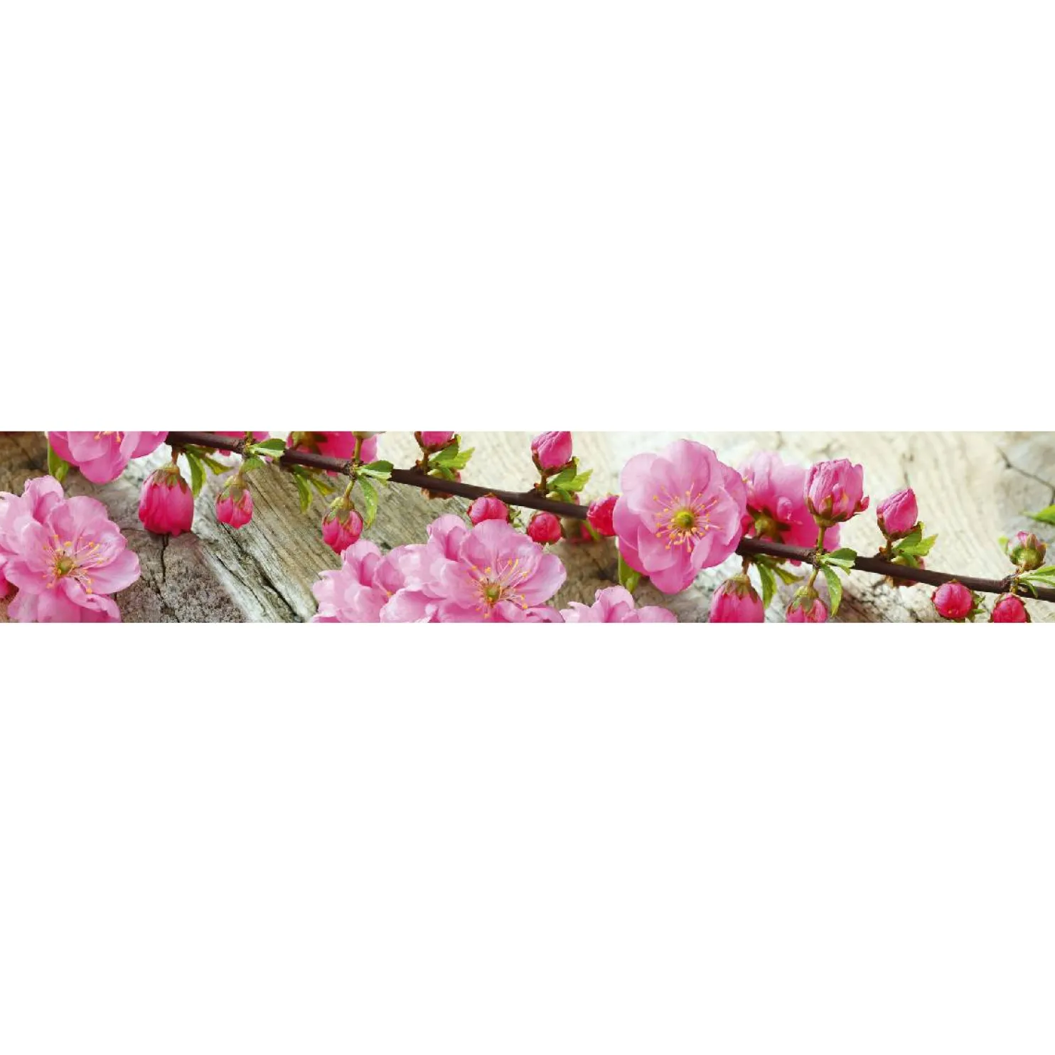 Välitilatarra Dimex Sakura 180-350x60cm