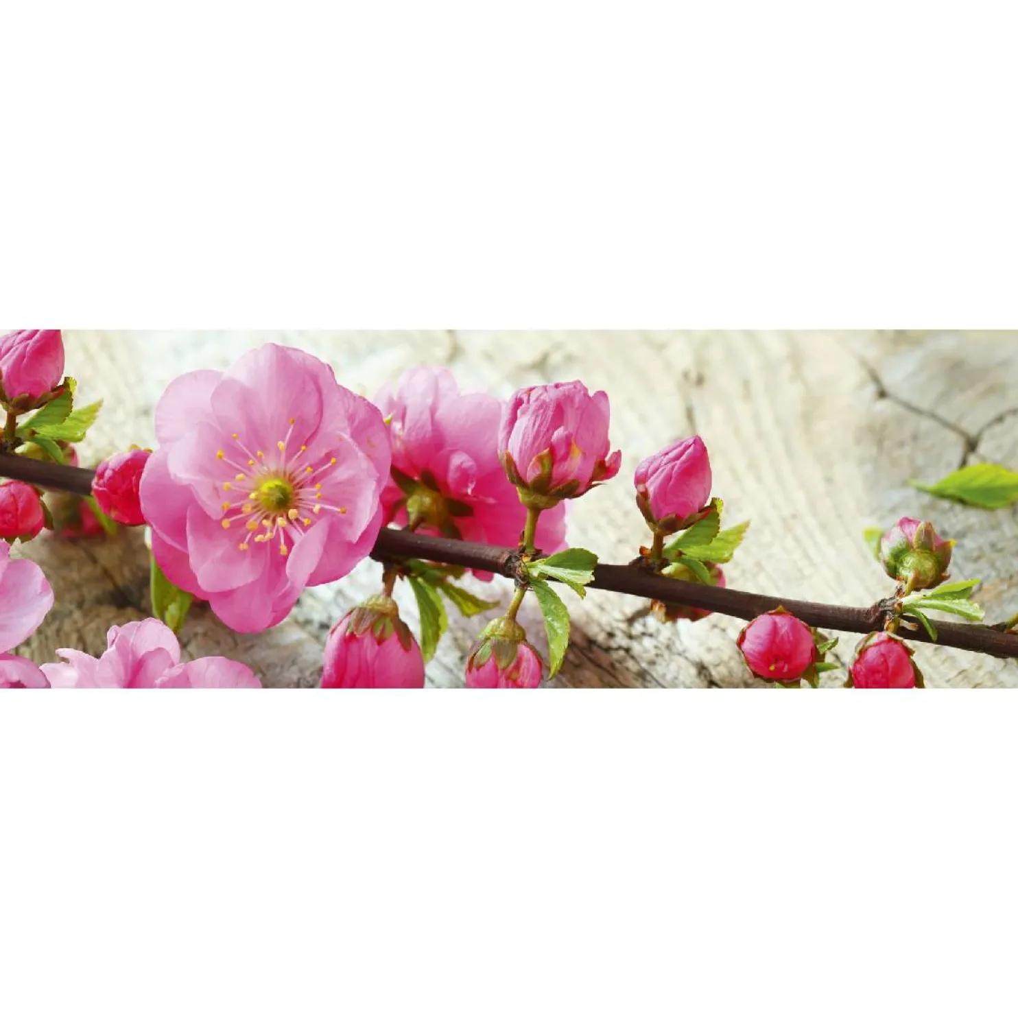 Välitilatarra Dimex Sakura 180-350x60cm