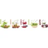 Välitilatarra Dimex Spice 180-350x60cm